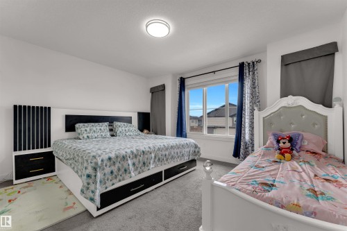 White walls complemented by grey carpeting - 22534 98A Avenue, Edmonton, AB - Indoor Photo Showing Bedroom