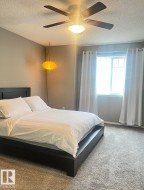 Neutral-toned walls complement plush carpeting - 