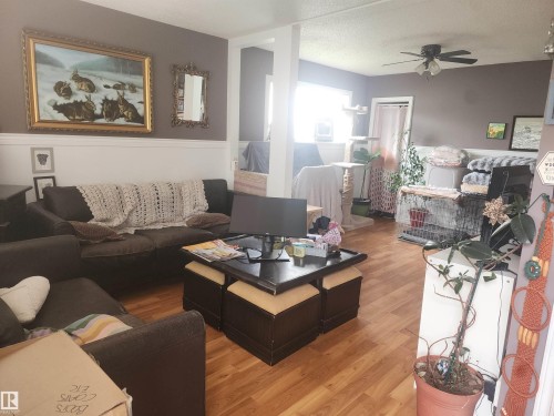 Addition on back - Livingroom featuring wood-finish flooring, two-tone wall treatment with a chair rail, and a  dining room with ceiling fan with light fixture - 3809 112 Avenue, Edmonton, AB - Indoor Photo Showing Living Room