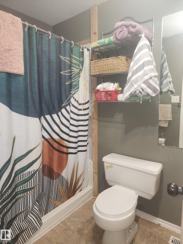 3809 112 Avenue, Edmonton, AB - Indoor Photo Showing Bathroom