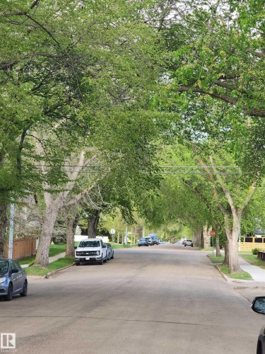 Located on a quiet Tree-lined street with mature foliage creating a canopy overhead - 3809 112 Avenue, Edmonton, AB - Outdoor