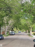 Located on a quiet Tree-lined street with mature foliage creating a canopy overhead - 