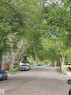Located on a quiet Tree-lined street with mature foliage creating a canopy overhead - 3809 112 Avenue, Edmonton, AB  - Outdoor 