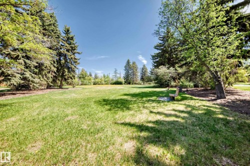 Expansive green lawn surrounded by mature trees, featuring a wooden park bench - 11309 115 Street, Edmonton, AB - Outdoor