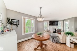 Open-concept living space featuring wood-finish flooring, a central pendant light fixture, and abundant natural light from multiple windows - 
