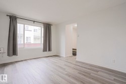 Bright interior space featuring light wood-finish flooring and white painted walls - 