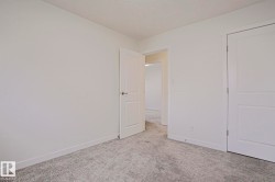 Neutral tone walls with textured carpet flooring - 