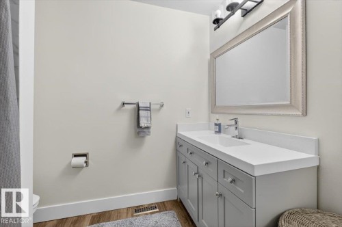 18520 77 Avenue, Edmonton, AB - Indoor Photo Showing Bathroom