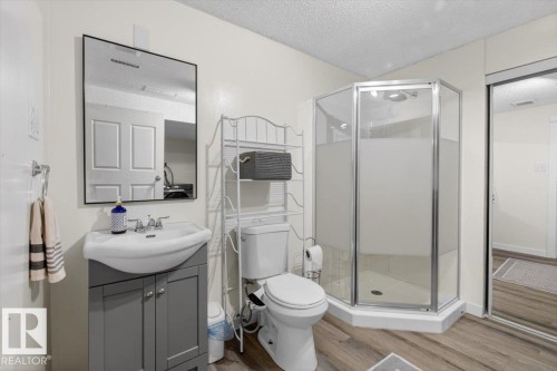 18520 77 Avenue, Edmonton, AB - Indoor Photo Showing Bathroom