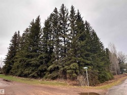 5301 50 Avenue  Fawcett, AB T0G 0Y0