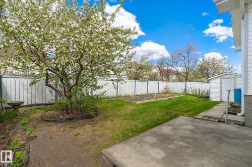 8604 157 Avenue, Edmonton, AB - Outdoor With Backyard