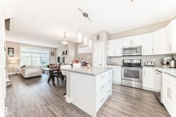 Open-concept living space featuring a contemporary kitchen with white cabinetry, stainless steel appliances, and a central island with a light-toned countertop - 