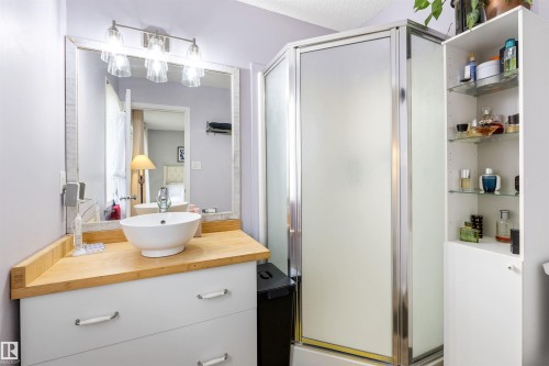 5504 Stevens Crescent, Edmonton, AB - Indoor Photo Showing Bathroom