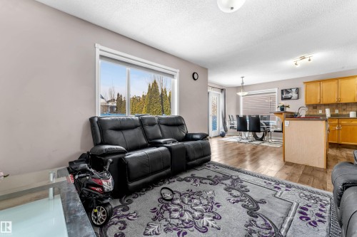 3774 20 Street Nw, Edmonton, AB - Indoor Photo Showing Living Room