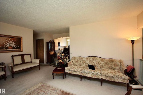 13315 136 Street, Edmonton, AB - Indoor Photo Showing Living Room