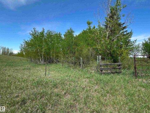 Sheltered by a variety of healthy trees adding shade and protection from the elements to the landscape. - 563003 Range Road 205, Rural Lamont County, AB 