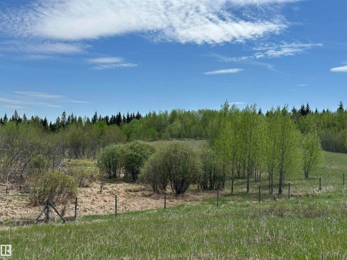 Thriving tree growth creates a healthy forest for now and the future, offering lasting privacy and natural beauty. - 563003 Range Road 205, Rural Lamont County, AB 