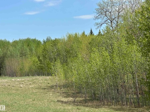 Nature at its finest mix of young and mature foliage creating habitat for variety of wildlife. - 563003 Range Road 205, Rural Lamont County, AB 