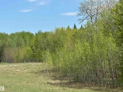 Nature at its finest mix of young and mature foliage creating habitat for variety of wildlife. - 