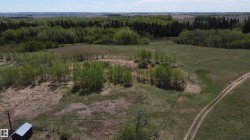 Expansive parcel featuring a mix of open fields and mature deciduous and coniferous trees. - 