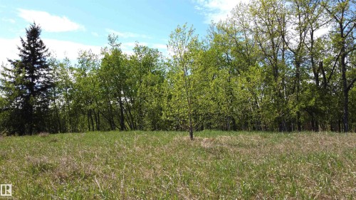 Your own playground, bring your toys and hobbies be it natural or motor driven. - 563003 Range Road 205, Rural Lamont County, AB 