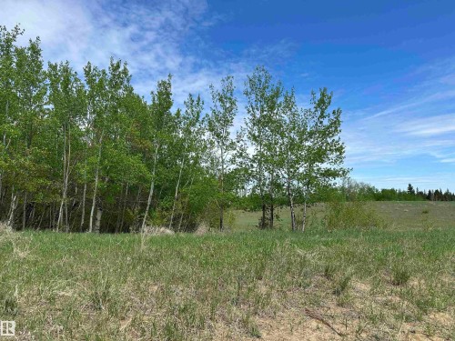 Wooded perimeter bordering a grassy field. - 563003 Range Road 205, Rural Lamont County, AB 