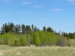Expansive open field bordered by a diverse forest line with both evergreen and deciduous trees under a clear sky. - 