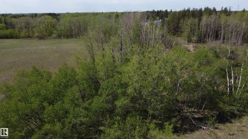 Expansive treed parcel featuring a mix of deciduous and evergreen trees, open grassy areas, and natural terrain - 563003 Range Road 205, Rural Lamont County, AB 