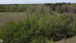 Expansive treed parcel featuring a mix of deciduous and evergreen trees, open grassy areas, and natural terrain - 