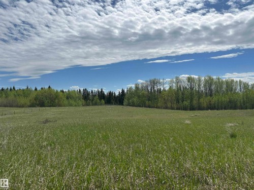 Expansive open field with natural grass, bordered by a dense tree line - 563003 Range Road 205, Rural Lamont County, AB 