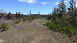 Expansive open land with varied topography, surrounded by mature trees - 