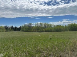 Expansive open field with natural grass, bordered by a  tree line featuring both deciduous and coniferous trees - 