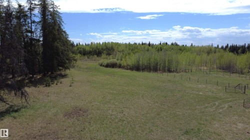 Expansive open field bordered by mature evergreen and deciduous trees - 563003 Range Road 205, Rural Lamont County, AB 