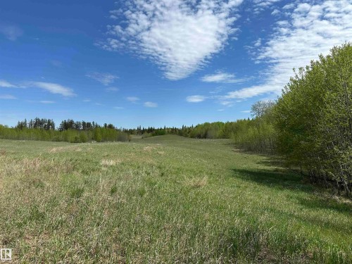 natural grasses - 563003 Range Road 205, Rural Lamont County, AB 