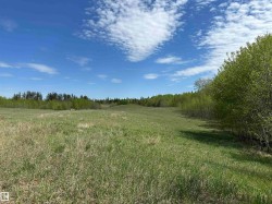natural grasses - 