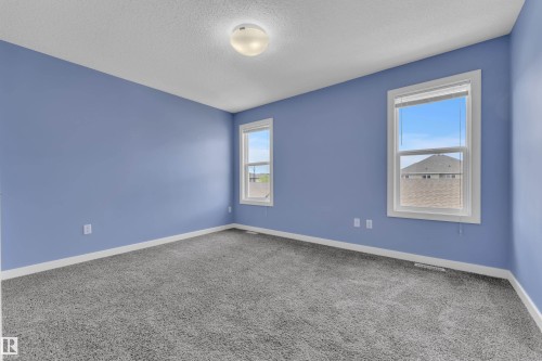 Spacious room featuring two windows with white trim, gray plush carpet, and a flush mount ceiling light fixture - 432 Watt Boulevard, Edmonton, AB - Indoor Photo Showing Other Room