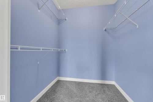Walk-in closet featuring wire shelving, gray speckled carpeting, light blue wall paint, white baseboards, and a textured ceiling - 432 Watt Boulevard, Edmonton, AB - Indoor With Storage
