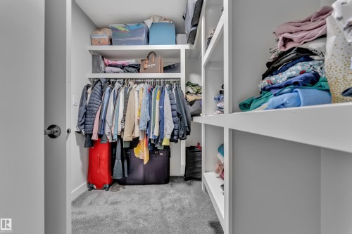 Walk-in closet featuring built-in white shelving, hanging rods, and grey carpeting - 1118 Goldfinch Crescent, Edmonton, AB - Indoor With Storage