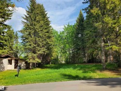 516 5 Norris Beach Pigeon Lake Street Rural Wetaskiwin County, AB T0C 2V0