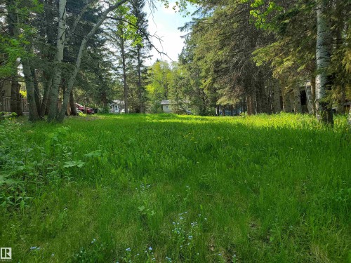 516 5 Norris Beach Pigeon Lake Street, Rural Wetaskiwin County, AB 