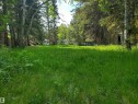 516 5 Norris Beach Pigeon Lake Street, Rural Wetaskiwin County, AB 