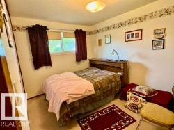 Carpeted room featuring a double window with roller shades, a ceiling light fixture, and crown molding with a floral border - 