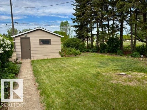 Expansive backyard featuring a detached accessory structure, mature evergreen trees, a concrete pathway, and a grassy lawn area - 5454 46 Street, Vegreville, AB - Outdoor