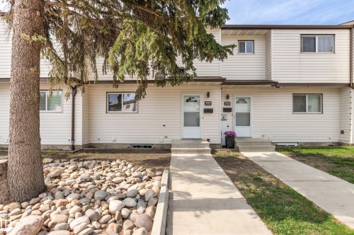 Two-story townhome exterior featuring light-colored horizontal siding, white trim, and a prominent evergreen tree - 707 Clareview Road, Edmonton, AB - Outdoor