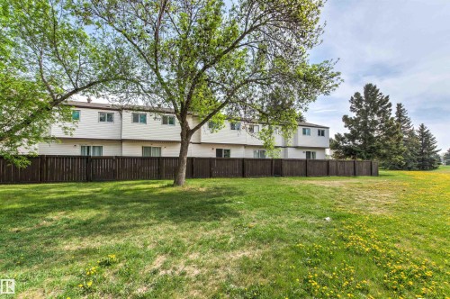 Expansive lawn area bordered by a tall wooden privacy fence, mature trees, and evergreen trees - 707 Clareview Road, Edmonton, AB - Outdoor