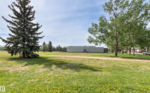 Expansive green space featuring a natural grass lawn, mature evergreen trees, and deciduous trees - 707 Clareview Road, Edmonton, AB - Outdoor