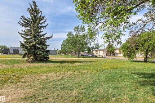 Expansive green space featuring a large evergreen tree and scattered deciduous trees - 707 Clareview Road, Edmonton, AB - Outdoor With View