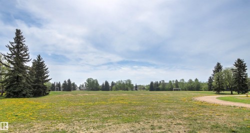 Expansive green space featuring mature evergreen trees and a winding dirt path - 707 Clareview Road, Edmonton, AB - Outdoor With View