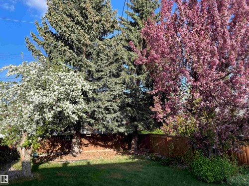 10927 146 Street, Edmonton, AB - Outdoor
