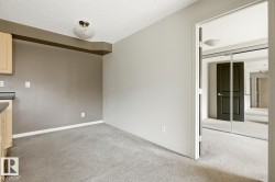 Carpeted room with light grey walls and a contrasting accent wall - 